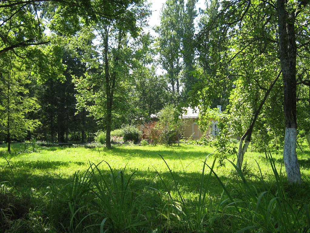 Melikhovo